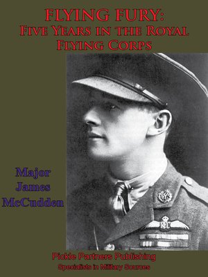 cover image of FLYING FURY